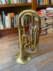 Eufonio amati kraslice aah 211 - Foto 1 di 4