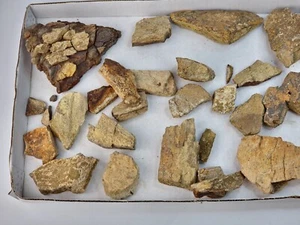 Lance Formation Dinosaur Bone Projects (Triceratops Frill?) - WY  - Picture 1 of 16