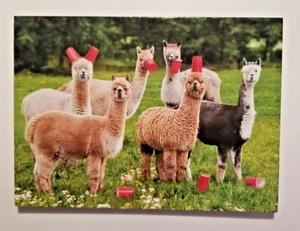 Humorous Adult Birthday Greeting Card Alpaca Avanti Press + Envelope - Picture 1 of 3