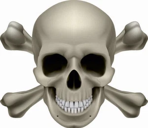 Aufkleber Pirat Totenkopf Autoaufkleber Sticker - Bild 1 von 1