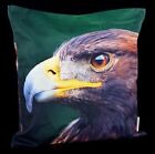 Cushion Cover - Eagle Head - Falke Decorative Pillow Cushion