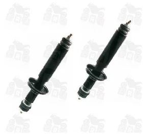 COPPIA AMMORTIZZATORI POSTERIORI APE 50 TM P FL FL2 FL3 RST MIX EUROPA - Imagen 1 de 1