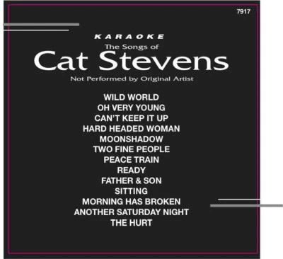 Cat Stevens Karaoke Disc CD CDG CD+G BEST OF Cat Stevens. - Image 1 of 2
