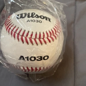 Wilson A1030 Champion Series SST Baseball New In Bag - Picture 1 of 2
