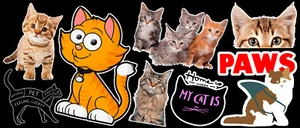 Cute Cat Pack Vinyl Sticker Bundle - Picture 1 of 1