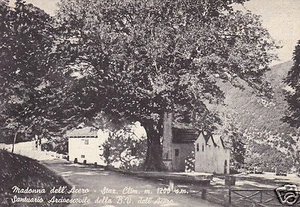 Madonna dell'acero-Santuario Arcivescovile-f.g. - Imagen 1 de 1