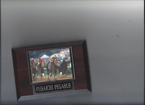 FUSAICHI PEGASUS PLAQUE HORSE RACING TURF Cover