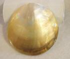 Mother of Pearl Shell Vintage Belt Buckle HUGE 3" Iridescent Clam NATURAL BEAUTY