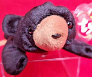 Ty Beanie Baby MWMT - BLACKIE Der Bär - Bild 1 von 5