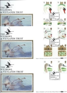 Benham Blcs80 1993 conjunto de 3 FDC - pares de canaletas SWANS - Shs SLIMBRIDGE, brillo. - Imagen 1 de 3