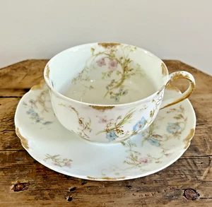Haviland Schleiger 71A Flat Cup & Saucer Set Pink Roses Blue Flowers - Picture 1 of 13