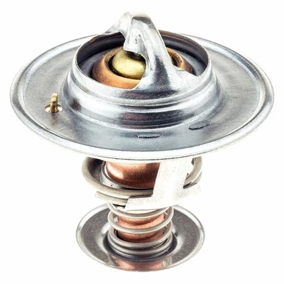 Puertas para Lincoln Town Car 2004-2010 termostato tipo OE Foto 1 de 4