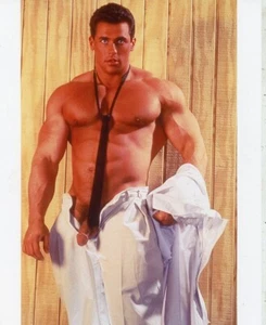 FOX STUDIOS VAULT * MAX STRATTON  * CONTEMPORARY 80S 8X10" ORIGINAL PRINT N.7 - Picture 1 of 1