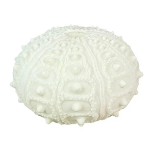 Coastal Sea Urchin Lamp, 12" Resin Sculpture with Warm Glow, Decorative Accent - Picture 1 of 7