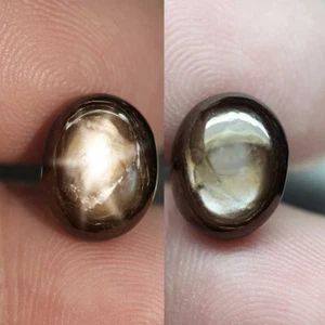 Star Sapphire 8.97 ct Black 6 Ray Star Oval Cab 12.0x9.4x6.1 mm Heated Thailand - Picture 1 of 3