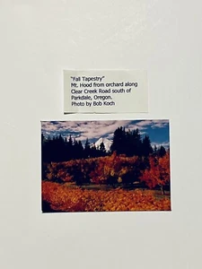 Mount Hood From Orchard Along Clear Creek Road South Of Parkdale Oregon Magnet - Picture 1 of 5