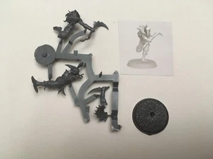 Cabalist C Pick Single Corvus Cabal WARCRY Warband Warhammer Age Sigmar Chaos - Picture 1 of 1