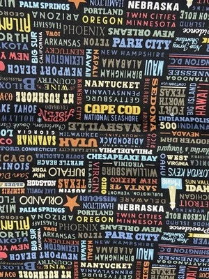 Riley Blake黑色棉美国地标旅游目的地织物C10029 — 第 1/4 张图片