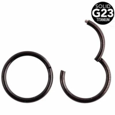 G23 Titanium Hinged Seamless Segment Ring Hoop Nose Ring Earring Labret Septum - Image 1 of 4