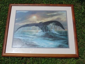 Vintage 1993 Anthony Casay Walschwanz Ozean Druck gerahmtes Kunstwerk Kunst mit Glas - Bild 1 von 5