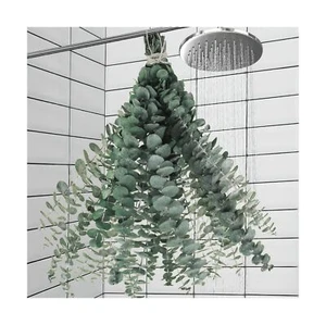 11 PCS Real Dried Eucalyptus for Shower Hanging Decor- 17'' Large Eucalyptus ... - Picture 1 of 7