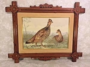 Antique Alexander Pope Jr Chromolithograph of Pinnated Grouse Early 1900s Framed - Picture 1 of 1