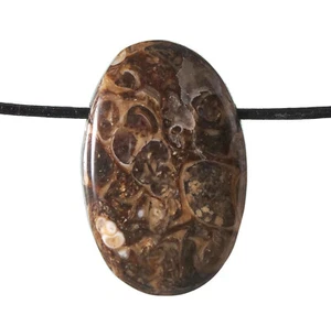 Turitella-Achat Anhänger gebohrt / Agate F954 - Picture 1 of 1