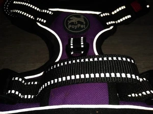 Poy Pet Dog Harness - Picture 1 of 2