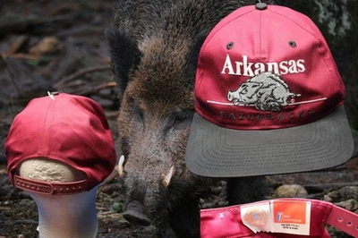 VTG Arkansas Razorbacks Strapback Cap Hat Twins Enterprise  Hog 90s - Image 1 of 4
