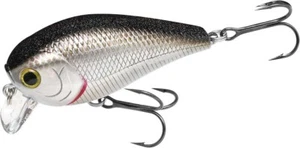 LUCKY CRAFT LC 1.5SSR - 419 BP Golden Shiner (1qty) Top Quality Crank Bait - Picture 1 of 3
