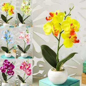 Silk Artificial Fake Orchid Flower Potted Plant Bonsai Party/Garden/Home Decor - Picture 1 of 18