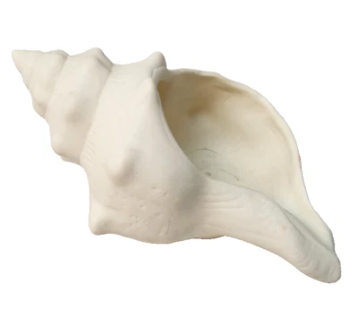 Yankee Candle Кремово-белая Раковина Раковина Чайный Светильник Подсвечник СНЯТ С ПРОИЗВОДСТВА - Изображение 1 из 4