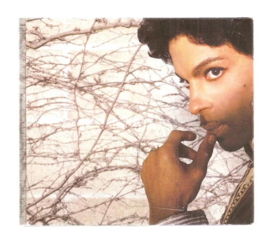 Prince - Musicology (CD, Apr-2004, Columbia (USA)) W/Booklet #0223FQ - Image 1 of 2