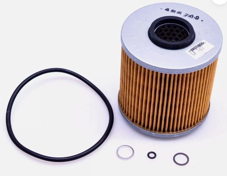 Filtro de aceite de motor Hastings Premium LF167 para BMW reemplaza 72172 P9760 D24E8828 Foto 1 de 1