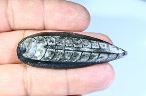 68 CT NATURAL ORTHOCERAS FOSSIL CORAL CABOCHON DRILL PENDANT GEMSTONE FB-237 - Picture 1 of 5