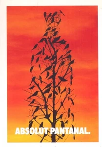 ABSOLUT PANTANAL 188 cartolina promocard 3260 cartoline pubblicitaria  - Picture 1 of 1