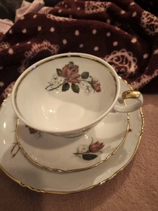 Johann Seltmann Vohenstrauss Porzellan Sammeltgasse Echtgold Goldrand - Bild 1 von 4