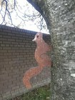 Rusty Red Squirrel Metal Silhouette Garden Wall Fence Topper Art Ornament Steel