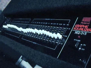 Roland SEQ-315 Fifteen Band Graphic EQ. Iconic Classic Logo! Rarely Seen!! - Picture 1 of 14