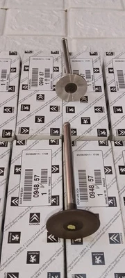 Peugeot 404, 504, 505 original engine valves set of 8 pieces intake and exhaust - Image 1 of 4