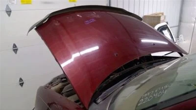 (NO SHIPPING) Hood Fits 97-98 EXPEDITION 726029 Foto 1 de 4