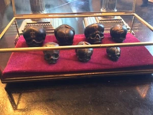 AUTHENTIC SUPER RARE SET MEDICAL TEACHING SKULLS-MEMENTO MORI WOW! - Picture 1 of 12