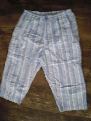 FRESH PRODUCE Size 1X  Preowned  Pants  Cotton Shades of Periwinkle - Image 1 of 2