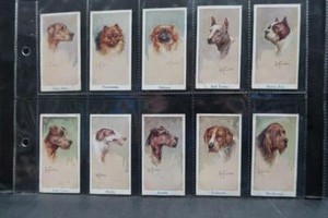 MOUSTAFA LEO CHAMBERS DOGS HEADS ISSUED 1924 MINT SET OF 4-SEE ALL PHOTO's