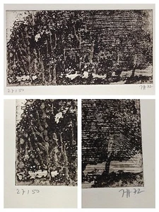 Horst Janssen : original RADIERUNG , handsigniert + nummeriert 27/50 1972 - Picture 1 of 1