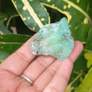 31Gr Natural Rough Green CHRYSOPRASE Mineral Specimen Rough - Picture 1 of 8