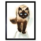 Cat Ragdoll Walking Watercolour 12X16 Inch Framed Art Print