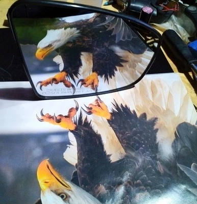 Espejo puerta pasajero cristal 09-17 INFINITI FX35 FX37 QX70 Foto 1 de 4