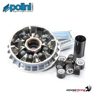 Polini hi-speed variator for Peugeot Geopolis 400 - Picture 1 of 5