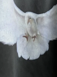 YEEZY Gap Engineered by Balenciaga TAUBE Hoodie XL authentisch - Bild 1 von 6
